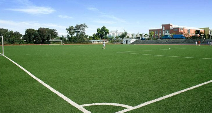 足球場草坪