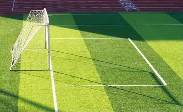 足球場草坪