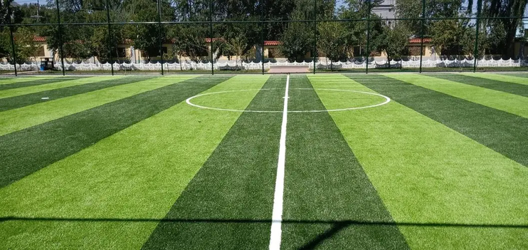 足球場草坪