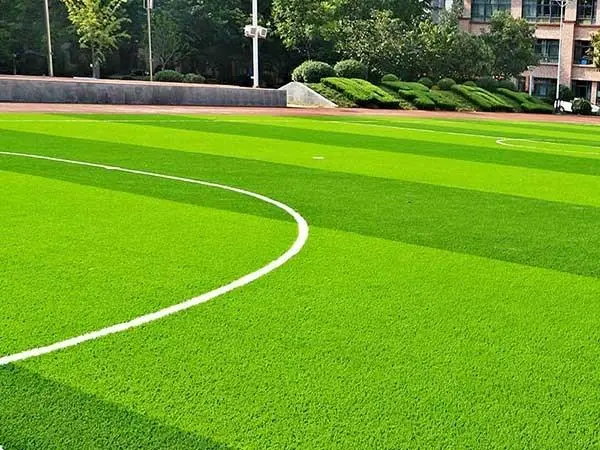 足球場草坪